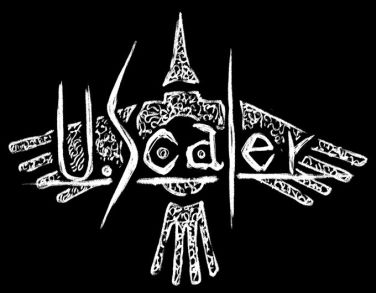 U.scaler